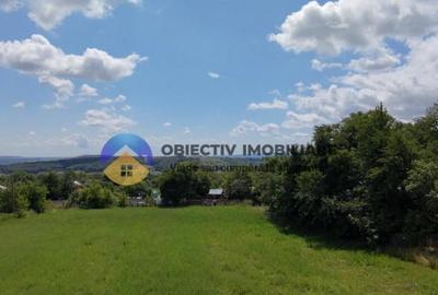 Teren intravilan de vanzare Unghi- jud. Neamt - 16