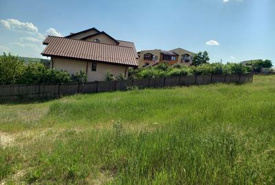 Teren de 450 mp, în Vișan - 3