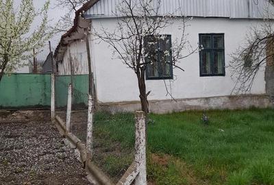 Teren de 2800 mp, în Iosif - 2