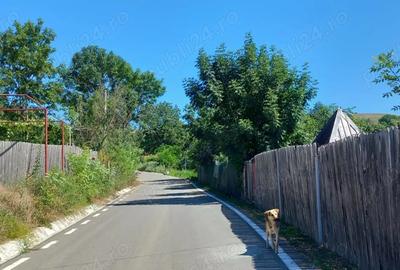 Casă cu 2 camere în Băimac - 1