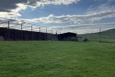 Spațiu comercial, în Ceplenița - 3