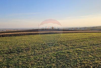 Teren agricol extravilan de 10152 mp, în Stroiești - 4