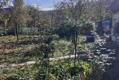 Casă cu 3 camere în Central - 1