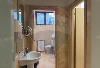 Spatiu comercial/ birouri 244 mp de inchiriat, zona premium - 15