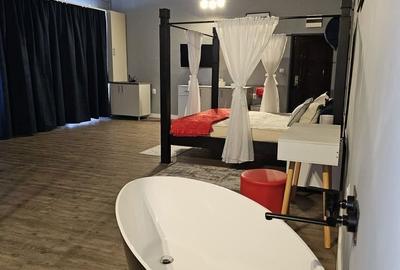 Spațiu comercial, de 46 mp, în Lotrioara - 2
