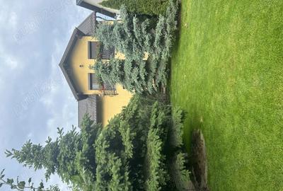 Casa P+M, Hemeius, Str Primariei - 5