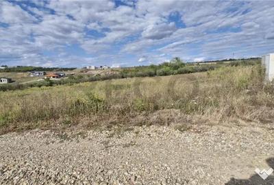 Teren de 599 mp, în Săldăbagiu de Munte - 4