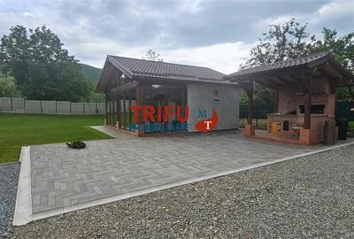 Casă cu 1 camere cu Teren 1335 Mp în Ighiu - 9