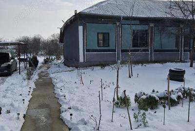 Casă cu 3 camere cu Teren 2155 Mp în Traian - 3