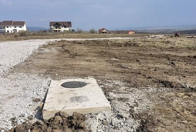 Teren de 450 mp, în Zăvoi - 5