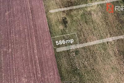 COMISION 0% Teren intravilan constructii, Sacalaz - 2