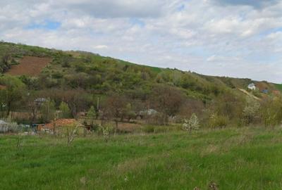 Casă cu 4 camere cu Teren 10000 Mp în Tulești - 9