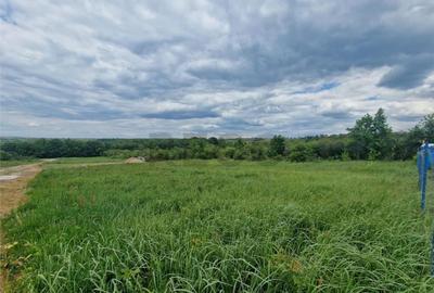 RECO teren intravilan Saldabagiu de Munte - 2