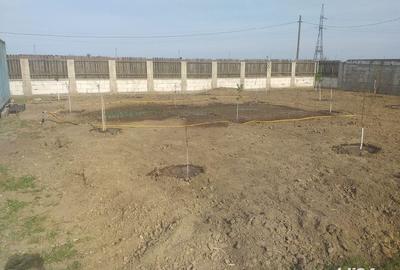 Spațiu comercial, în Lumina - 2