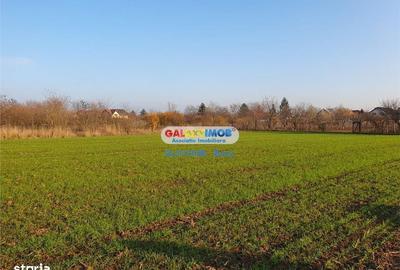 Spațiu comercial, în Dărmănești - 4