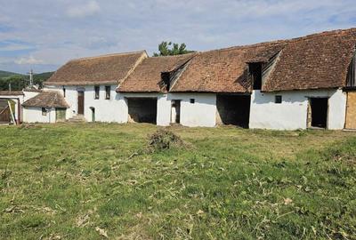 Casă cu 3 camere în Fișer - 1