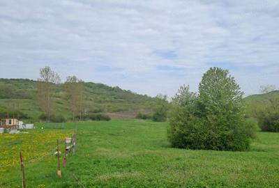 Teren de 2900 mp, în Căptălan - 3