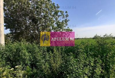 Teren Construcții intravilan de 5000 mp, în Copăceni - 4