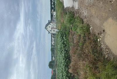 Vanzare teren casa la padure Moara Vlasiei - 3