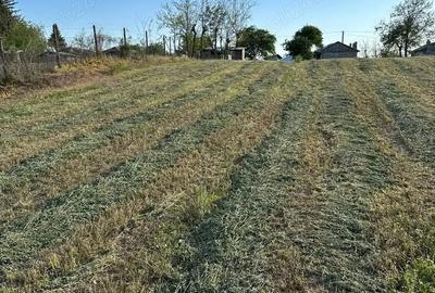 Casă cu 6 camere cu Teren 2000 Mp în Tătăranu - 5