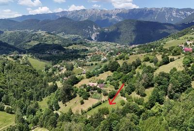 Comision 0% | Teren intravilan 2068 mp | Magura | Piatra Craiului - 7