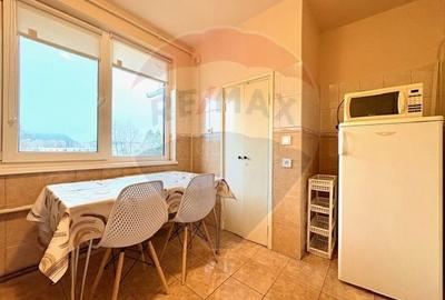 Apartament 2 camere de inchiriat - B-dul. Saturn 41 Brasov - 9