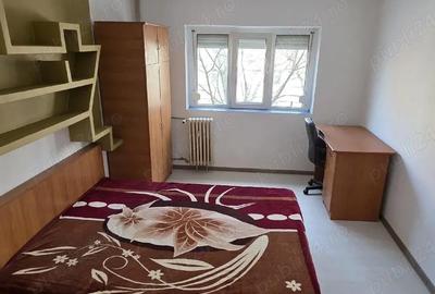 Garsonieră semidecomandată în Lăpuș Argeș - 3