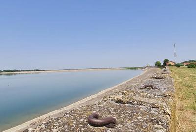 Teren de 924 mp, în Dridu