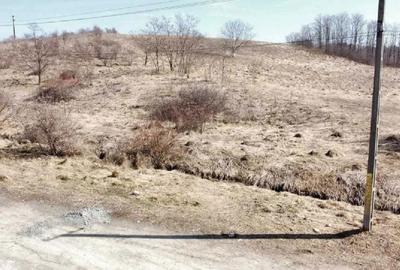 Spațiu comercial, în Bârzulești - 3