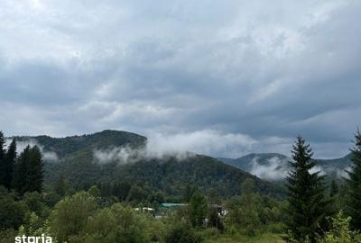 Teren de 500 mp, în Zăvoi - 4