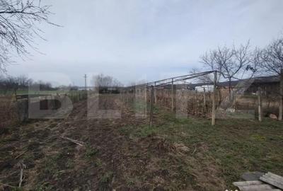 Casă cu 3 camere cu Teren 1300 Mp în Șintereag - 1