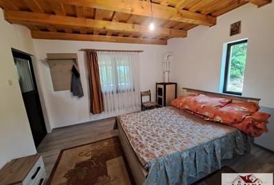 Casa noua de vanzare in Berghin - Straja cu 6063 mp teren - 5