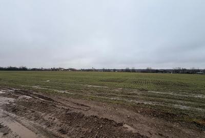 Teren Construcții intravilan de 1127 mp, în Snagov - 3