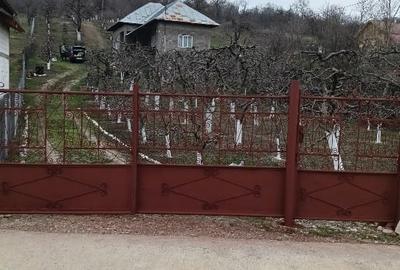 Casă individuală cu 3 camere cu Teren 2800 Mp în Boțești - 1