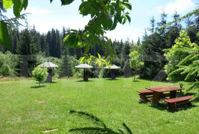 Ocazie , cabana, 300 mp utili, Poiana Stampei cu 6060 mp ter - 12