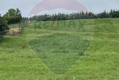 Pasune 21 ha pretabila pentru panouri fotovoltaice,impadurit - 2