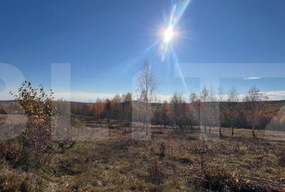 Teren construibil de vanzare, zona casele Micesti - 1
