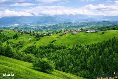 Spațiu comercial, în Fundata - 2