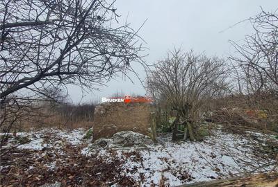 Casă cu 3 camere cu Teren 9504 Mp în Poclușa de Barcău - 2