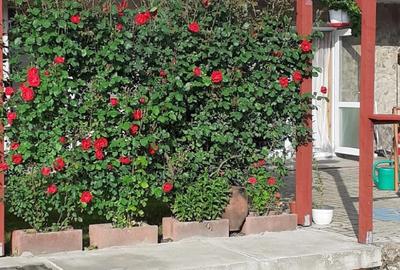 Casă cu Teren 300 Mp în Central