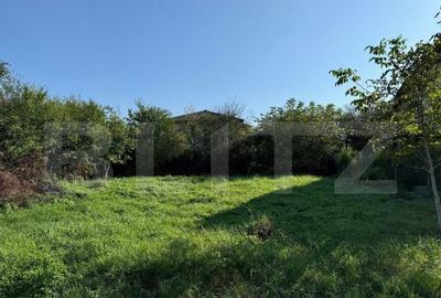 Teren intravilan, 500 mp,PUZ aprobat zona Buna Ziua - 5