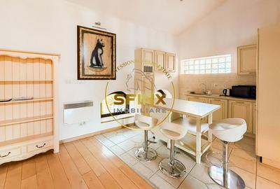 Vila eclectica individuala, curte proprie zona Armeneasca - 4