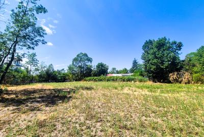 Casa , teren intravilan Urlueni Barla Arges - 21