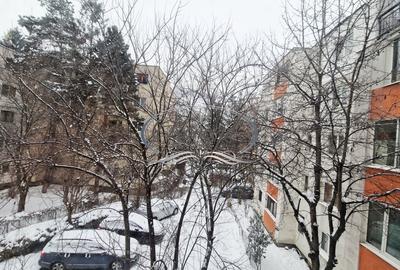 Apartament decomandat etaj intermediar, zona Profi Grigorescu - 14