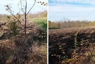 Teren Ungheni, ID: R2832820 - 2