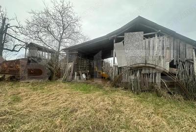 Casă cu 4 camere cu Teren 6197 Mp în Viile Satu Mare - 20