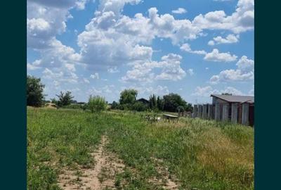 Teren de 477 mp, în Clinceni - 8