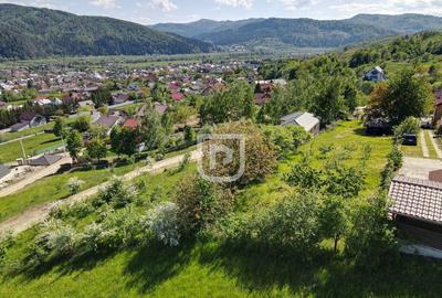 Casa batraneasca cu foi?or ?i teren - 6