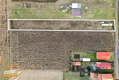 FILM! Teren mixt, 2.493 mp, Chilieni, judetul Covasna - 6