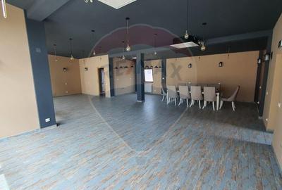 Casă / Vilă de închiriat în zona Pipera - 9